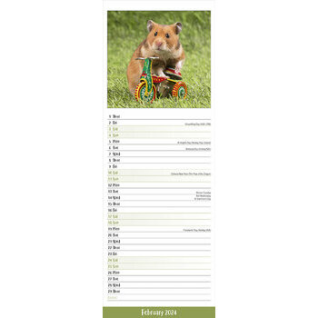 Calendrier 2024 Hamster slim