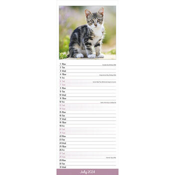 Calendrier 2024 Chaton slim Calendrier 2024 Chaton slim