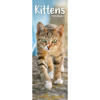 Calendrier 2024 Chaton slim Calendrier 2024 Chaton slim