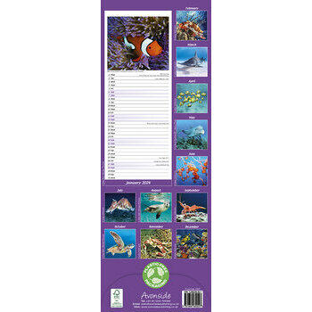 Calendrier 2024 Vie sous marine slim Calendrier 2024 Vie sous marine slim