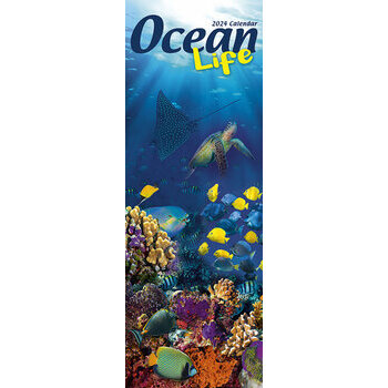 Calendrier 2024 Vie sous marine slim Calendrier 2024 Vie sous marine slim