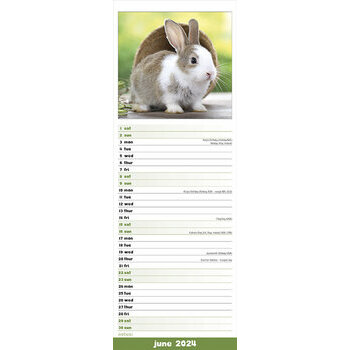 Calendrier 2024 Lapin slim Calendrier 2024 Lapin slim