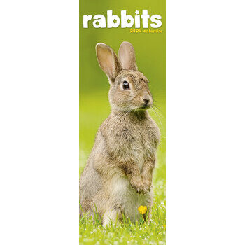 Calendrier 2024 Lapin slim Calendrier 2024 Lapin slim