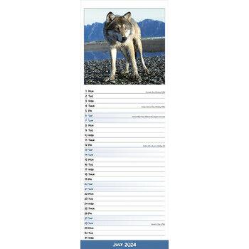 Calendrier 2024 Loup slim Calendrier 2024 Loup slim