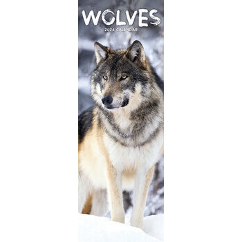 Calendrier 2024 Loup slim Calendrier 2024 Loup slim