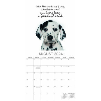 Calendrier 2024 Adorable chien Calendrier 2024 Adorable chien