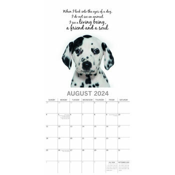 Calendrier 2024 Adorable chien