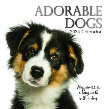 Calendrier 2024 Adorable chien Calendrier 2024 Adorable chien