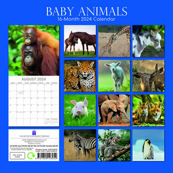 Calendrier 2024 Bébé animaux Calendrier 2024 Bébé animaux
