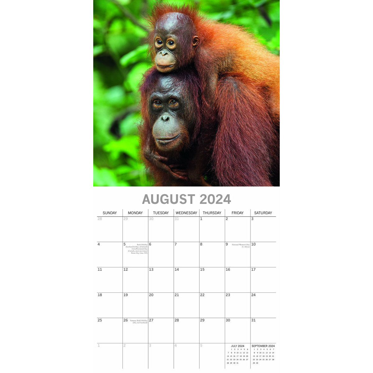 Calendrier 2024 Bébé animaux