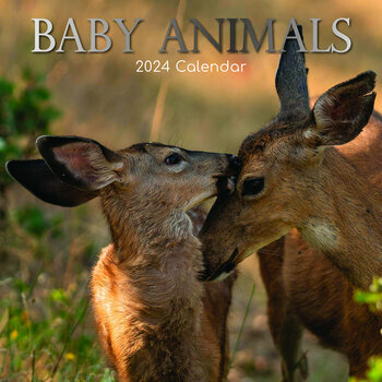 Calendrier 2024 Bébé animaux Calendrier 2024 Bébé animaux
