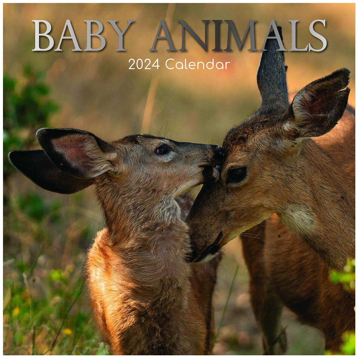 Calendrier 2024 Bébé animaux