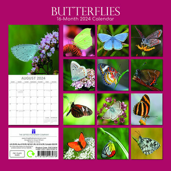Calendrier 2024 Papillon Calendrier 2024 Papillon