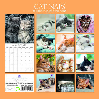 Calendrier 2024 Chat endormi Calendrier 2024 Chat endormi