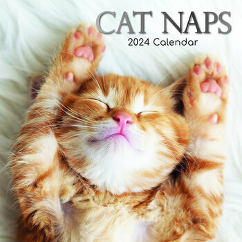 Calendrier 2024 Chat endormi Calendrier 2024 Chat endormi