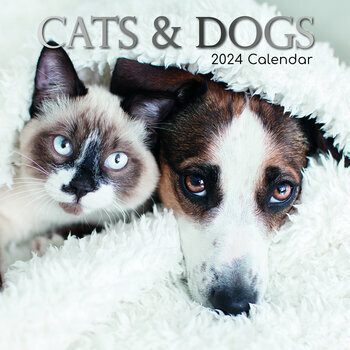 Calendrier 2024 Chat et chien