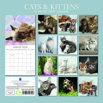 Calendrier 2024 Chat et chaton