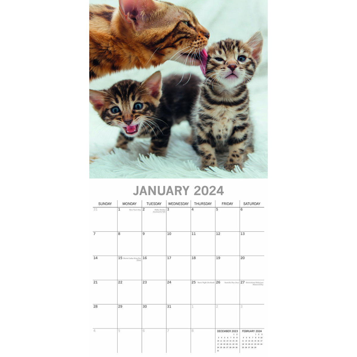 Calendrier 2024 Chat et chaton