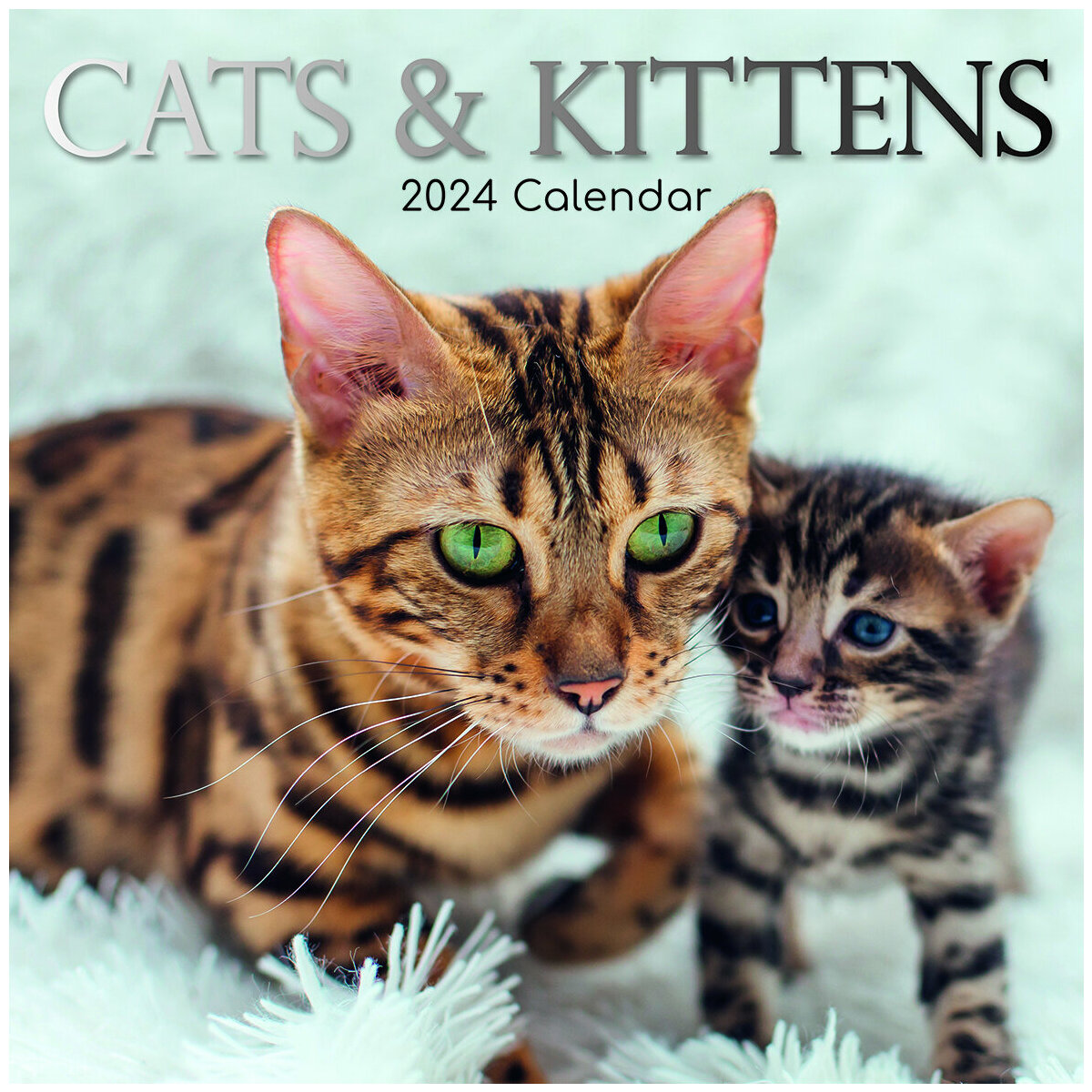 Calendrier 2024 Chat et chaton