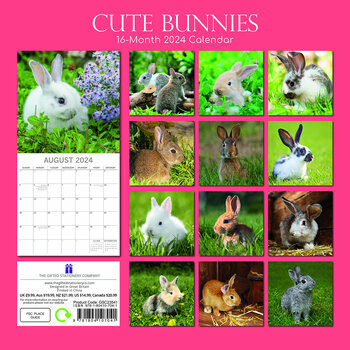 Calendrier 2024 Lapin mignon Calendrier 2024 Lapin mignon