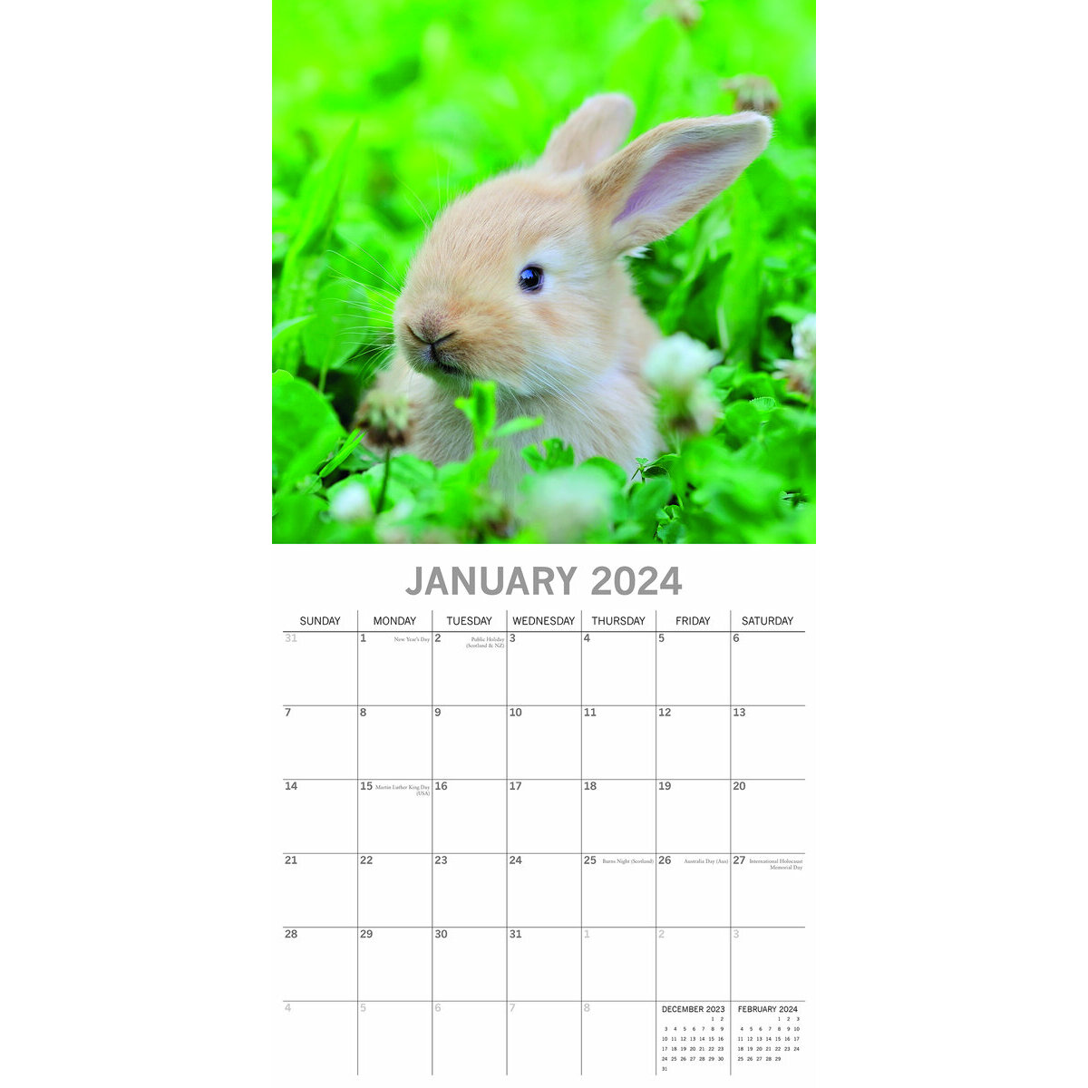 Calendrier 2025 Lapin mignon
