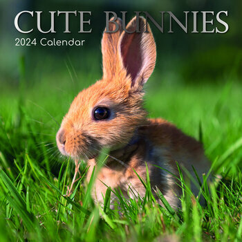 Calendrier 2024 Lapin mignon Calendrier 2024 Lapin mignon