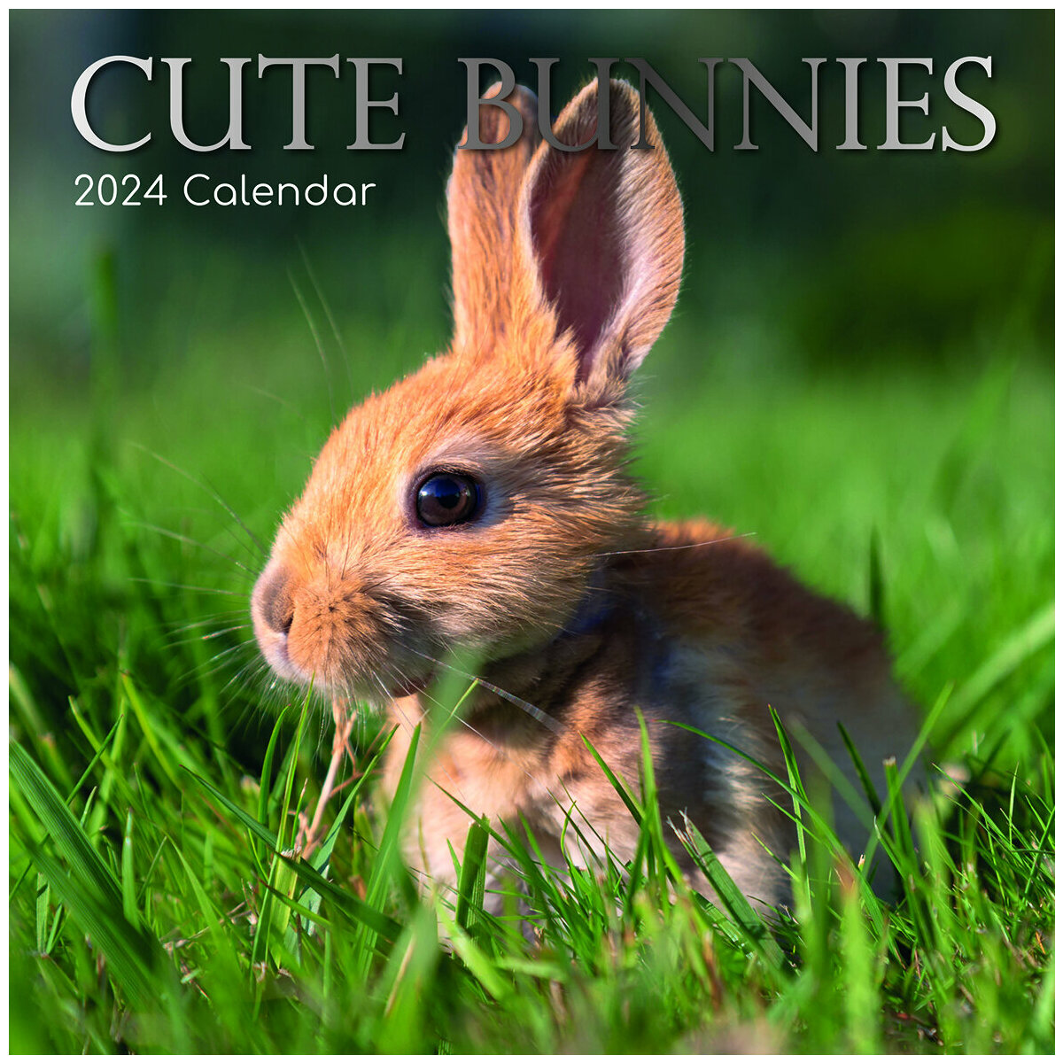 Calendrier 2024 Lapin mignon