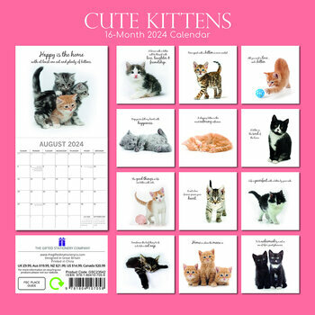 Calendrier 2024 Chaton mignon