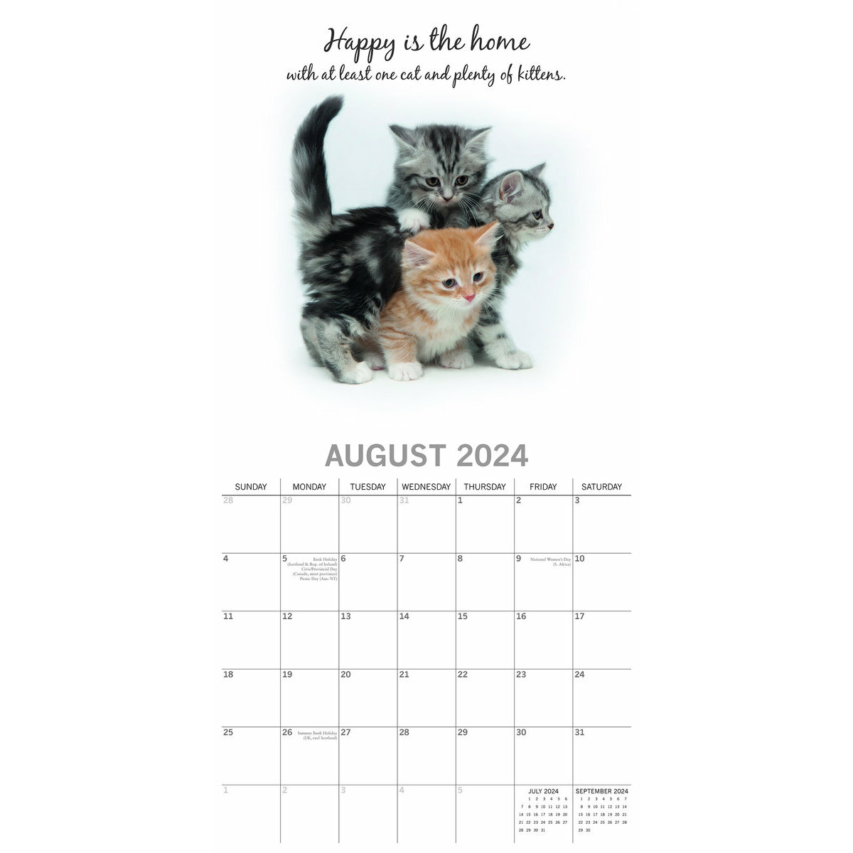 Calendrier 2024 Chaton mignon
