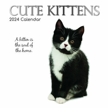 Calendrier 2024 Chaton mignon