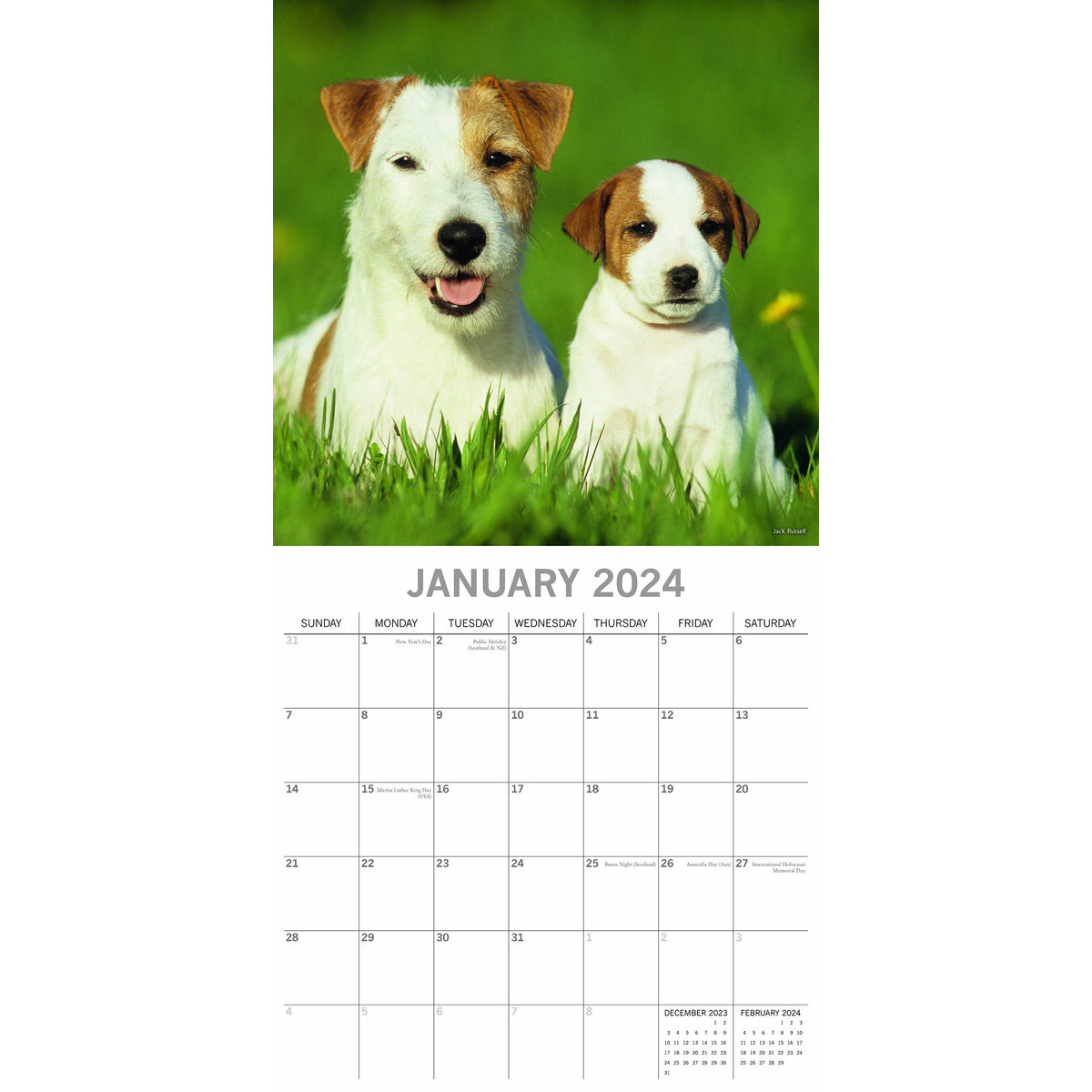 Calendrier 2024 Chien et chiot