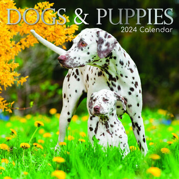 Calendrier 2024 Chien et chiot