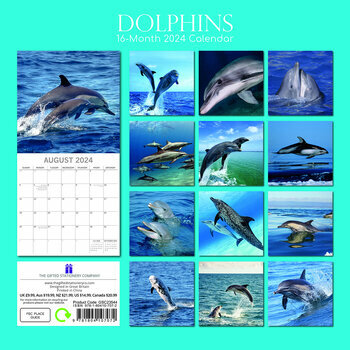 Calendrier 2024 Dauphin Calendrier 2024 Dauphin