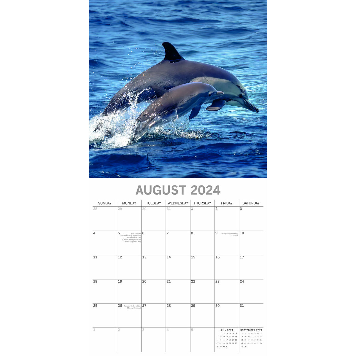 Calendrier 2024 Dauphin