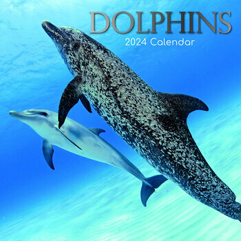 Calendrier 2024 Dauphin Calendrier 2024 Dauphin