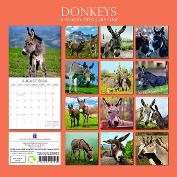 Calendrier 2024 Ane Calendrier 2024 Ane