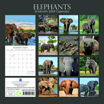 Calendrier 2024 Elephant