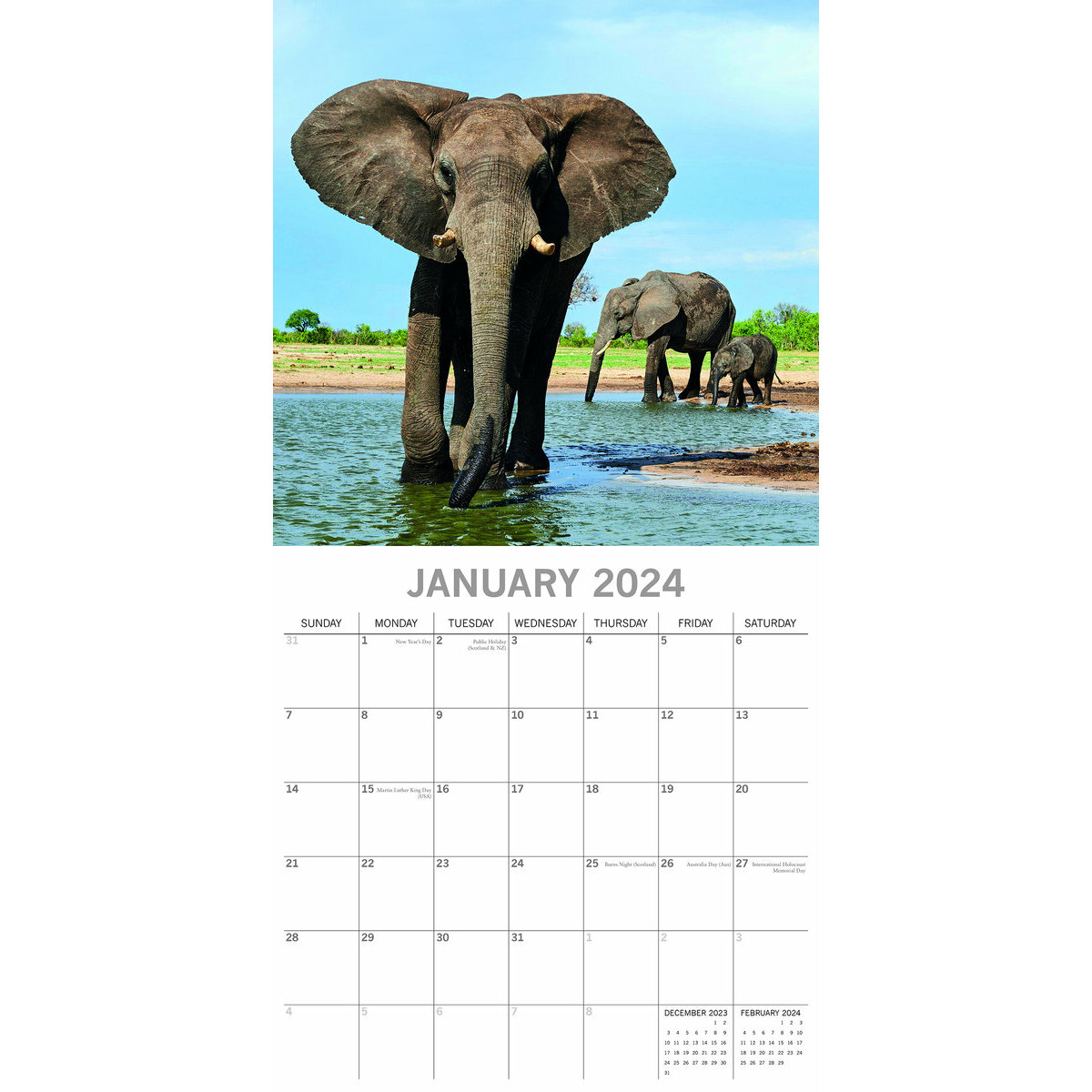 Calendrier 2024 Elephant
