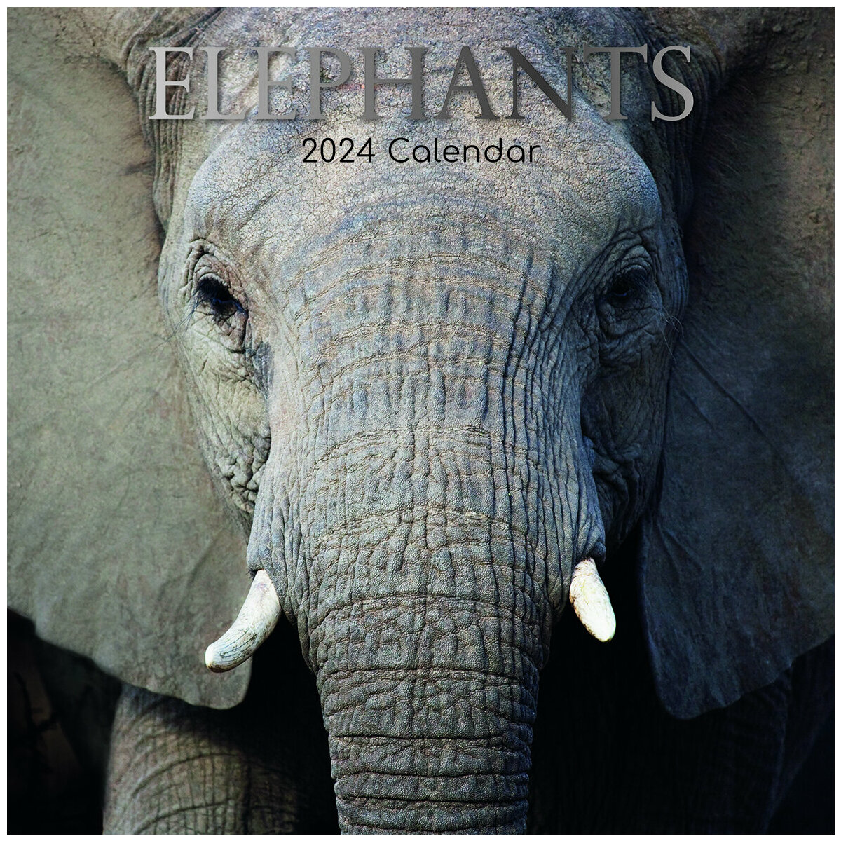 Calendrier 2025 Elephant