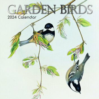 Calendrier 2024 Dessin oiseaux