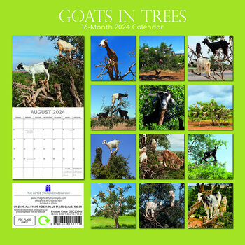 Calendrier 2024 Chèvre dans les arbres