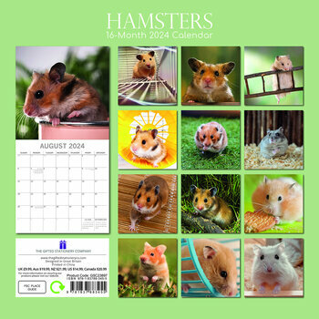 Calendrier 2024 Hamster