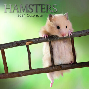 Calendrier 2024 Hamster