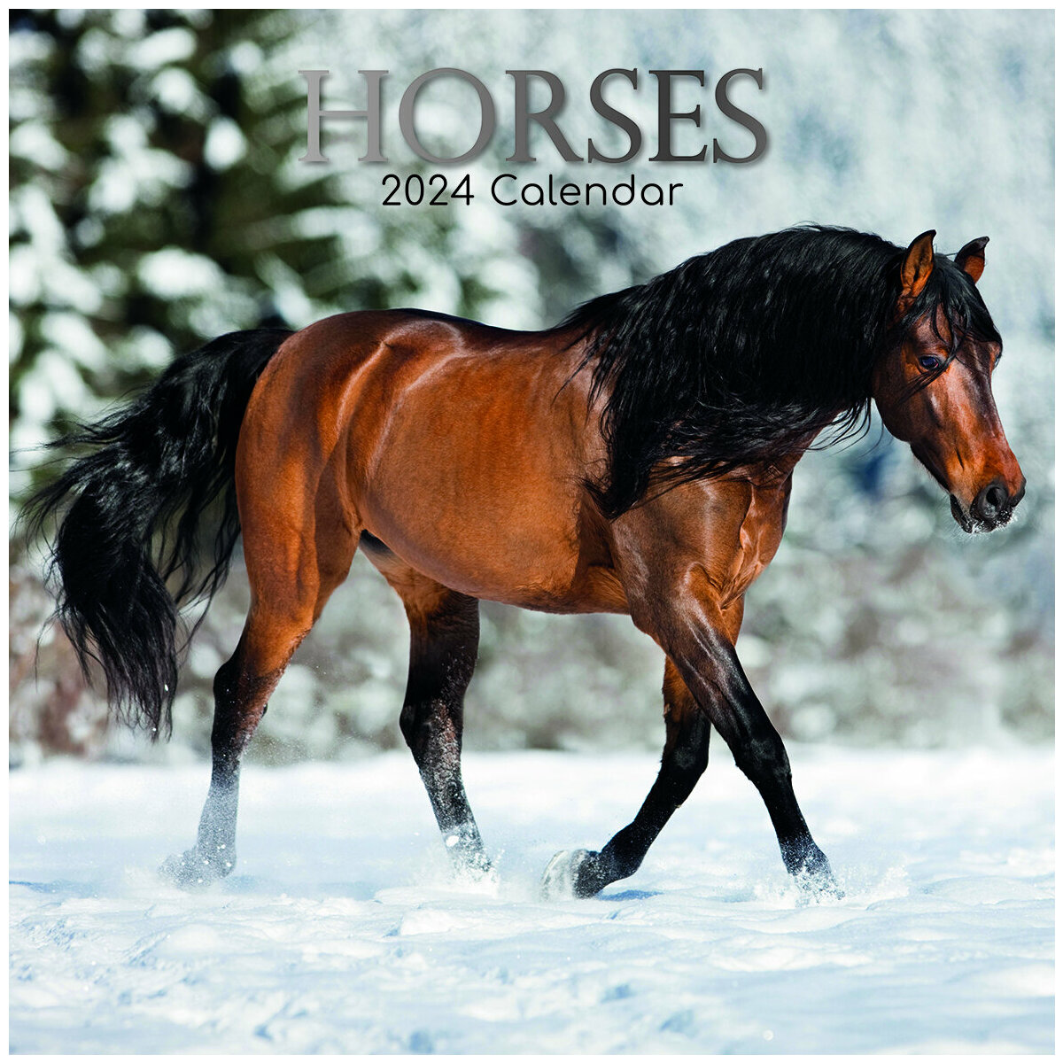 Calendrier 2024 Chevaux