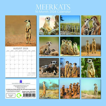 Calendrier 2024 Suricate