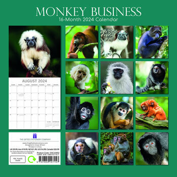 Calendrier 2024 Singe Calendrier 2024 Singe