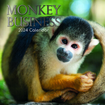 Calendrier 2024 Singe Calendrier 2024 Singe