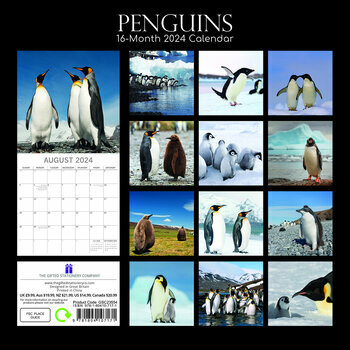 Calendrier 2024 Pingouin