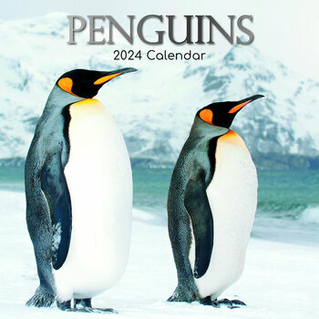 Calendrier 2024 Pingouin