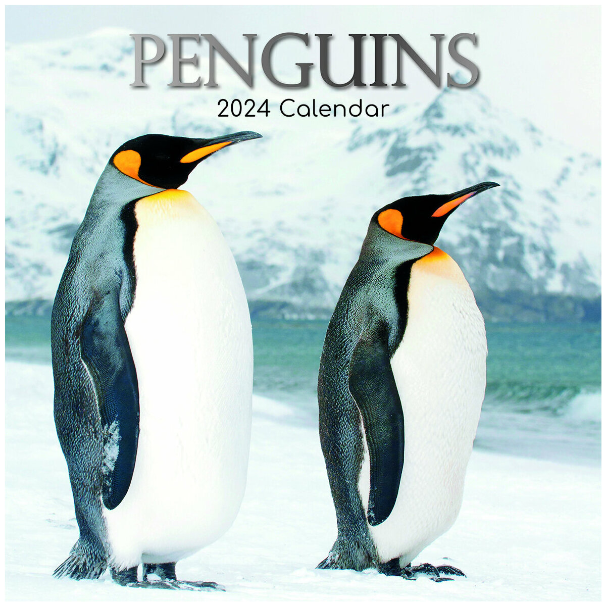Calendrier 2024 Pingouin